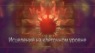 Исцеление на клеточном уровне. Животворящие волны.