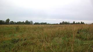 Земля в Великих Луках. Дервня Колюбаки.