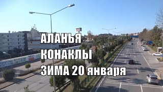ALANYA Конаклы Бамбук на море Апельсины Вкусная выпечка