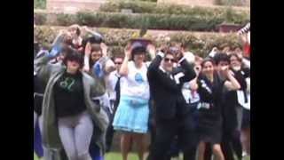 NashiCon Caramelldansen 2013