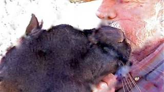 Big Leopards live with Cat Man