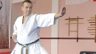 Важность базовой техники в каратэ. Игорь Садовников