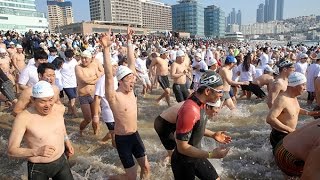 겨울바다도 후끈하게 '제28회 북극곰수영축제'