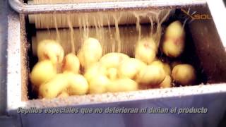 Peladora industrial de papas de Inoxsol Peru