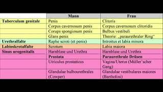 Penis to Vagina transformation (Cheeses Subliminals re-upload)