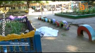 Одесские догхантеры разошлись не на шутку