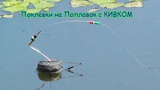 Рыбалка на Карася, Поклевки на Поплавок с КИВКОМ, на озере, Золотой Карась. Fishing câu cá 钓鱼