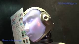 Социобот Socibot "Бал Роботов"