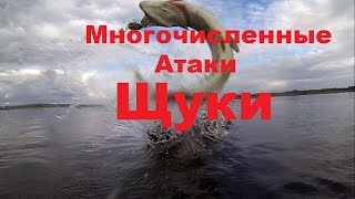 Ловля щуки в сентябре на воблера (+ съёмка атаки ЩУКИ под водой ) Orbit 80 SP