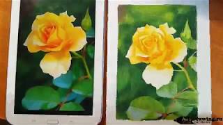Рисуем розу - ускоренный урок из платного видео курса