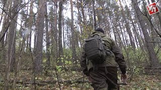 Тайное место. В Ульяновской области обнаружили чурбаки, которым 50 миллионов лет