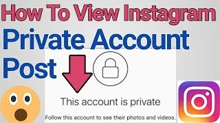 How To View Instagram Private Account Post?