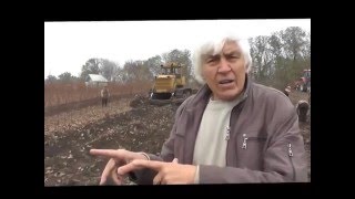 Копка саженцев ореха 07.11.2015 г.
