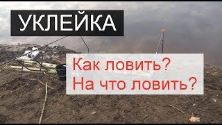 ?Уклейка ранней весной. Оснастка поплавочной удочки. Прикормка