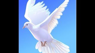 Видео-медитация  "Голубь Мира и Мир"/ Дove of peace
