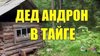 ВЕРНАЯ СОБАКА | ДЕД АНДРОН | ЖИЗНЬ В ТАЙГЕ
