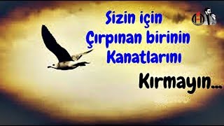 Kırgınım Sana Hayat... !!! Önce hayaller ölür sonra insanlar...!!!