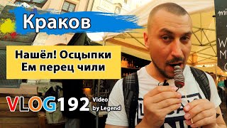 Нашёл Осцыпки в Кракове! Ем перец чили на площади | Краков глазами туриста