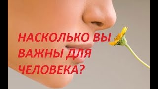НАСКОЛЬКО ВЫ ВАЖНЫ ДЛЯ ЗАГАДАННОГО ЧЕЛОВЕКА?/Онлайн гадание/Tarot