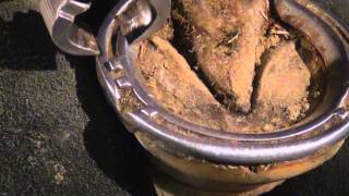 Farrier Tools for Removal of a Horseshoe