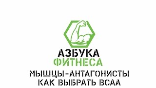 Азбука фитнеса. Мышцы-антагонисты. Как выбрать BCAA - советы Ильи Комарова.