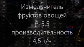 Измельчитель фруктов овощей Русич 5,5