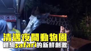 【新鮮片】清邁夜間動物園　體驗safari的快感 | 旅途中 | 台灣蘋果日報
