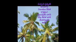 Green Beauty of Kerala Villages | పచ్చని ప్రకృతిలో కేరళ ఊళ్లు | Why Kerala People Intellectuals,