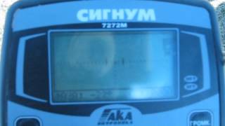 Балансировка Сигнума на грунте