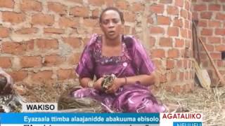 Shocking Video Woman Begged Government Not to Take Her son the Python