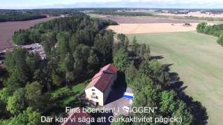 Wenngarn Slott, KBK Hälsocamp - kör bara köör.