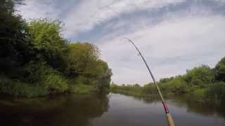 Šapalų žvejyba. European chub fishing 2015-08-30