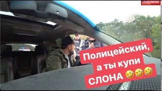 Полицейский а ты купи слона