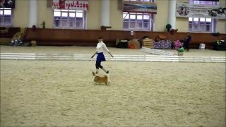 Иванушкина Мария и Несси, фристайл