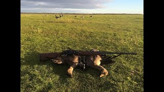 Охота на гуся в Ненецком АО. Первый выезд на охоту. Goose Hunting