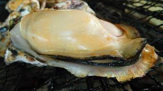 「豊前海一粒かき」牡蠣小屋　Oysters BBQ－2012 冬（1月）