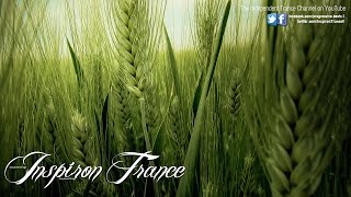 Gaia - J'ai Envie De Toi (Protoculture Remix) ASOT 554