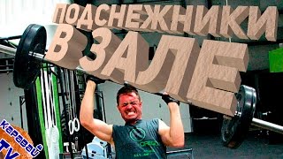 КАРАВАЙTV / ПОДСНЕЖНИКИ В ЗАЛЕ / ПРИКОЛЫ С ПОДСНЕЖНИКАМИ / ЧУДИКИ В ЗАЛЕ