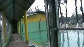 Teenager Summer Camp Heredia Costa Rica: Tour the program and facilities - Video