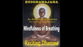 Mindfulness of Breathing in Buddha's words  +Music Added