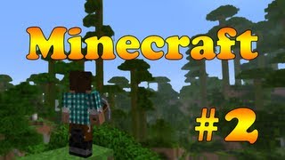 Minecraft #2 - Первый дом