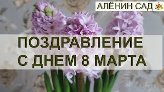 С днем 8 марта!!! Весенние цветы для прекрасных женщин ❤