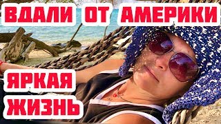 УСПЕШНАЯ АМЕРИКАНКА ЕСТ ДЕШЁВЫЕ ТАЙСКИЕ ПЕЛЬМЕНИ. ЖИЗНЬ ЭМИГРАНТКИ.