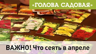 Голова садовая - ВАЖНО! Что сеять в апреле