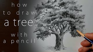 how to draw a tree как нарисовать дерево