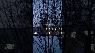 Босиком по снегу'19. День 16.