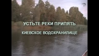 Domantove устье реки Припять Киевское водох. рыбалка и отдых