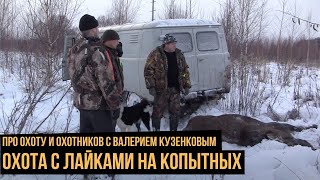 Про охоту и охотников с Валерием Кузенковым. Сезон 1. Охота  с лайками  на копытных