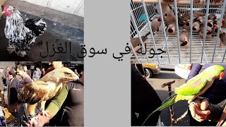 سوق الغزل لبيع وشراء الحيوانات اليوم الجمعة 17 يناير 2020