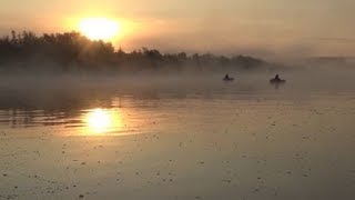 Утренняя рыбалка на Дону .Последний летний день 2019.